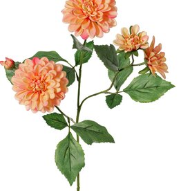 Dahlia 'Garden Art', met 4 bloemen ( 2x L/1x M/1x S) & 1 knop, met 12 bladeren, 69 cm