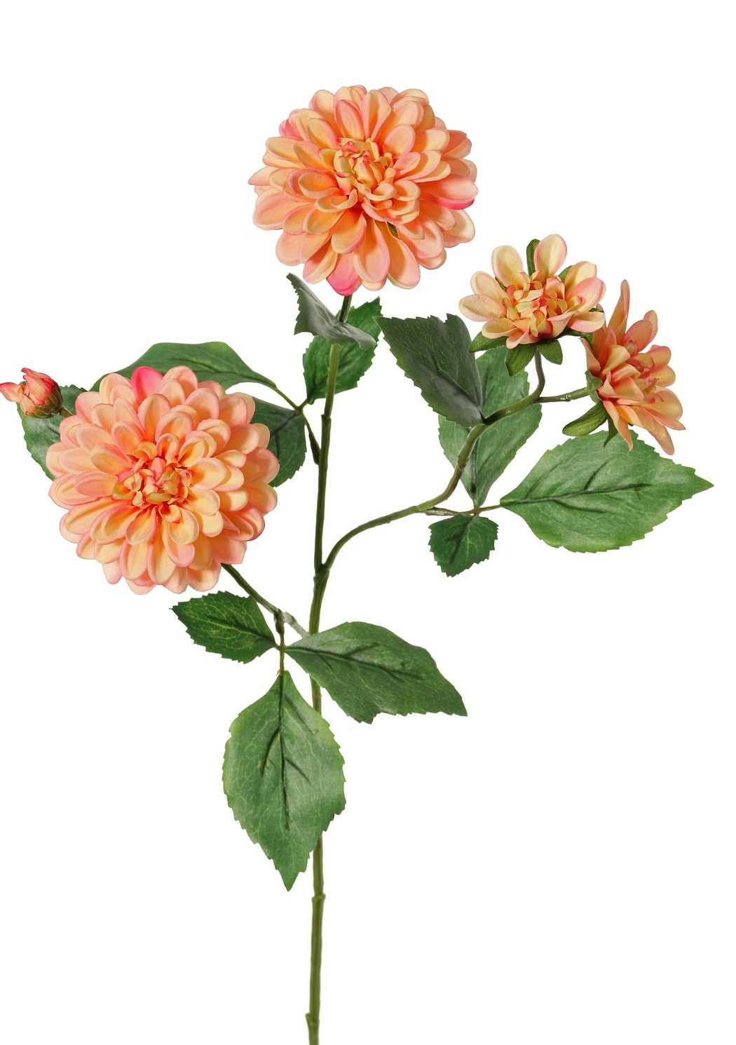 Dahlia 'Garden Art', met 4 bloemen ( 2x L/1x M/1x S) & 1 knop, met 12 bladeren, 69 cm