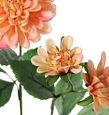 Dahlie 'Garden Art', mit 4 Blüten (2x L/1x M/1x S) & 1 Knospe, mit 12 Blättern, 69 cm