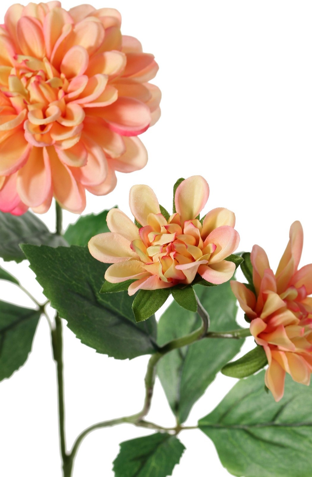 Dahlia 'Garden Art', with 4 flowers (2x L/1x M/1x S) & 1 bud, with 12 leaves, 69 cm