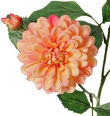 Dahlia 'Garden Art', with 4 flowers (2x L/1x M/1x S) & 1 bud, with 12 leaves, 69 cm