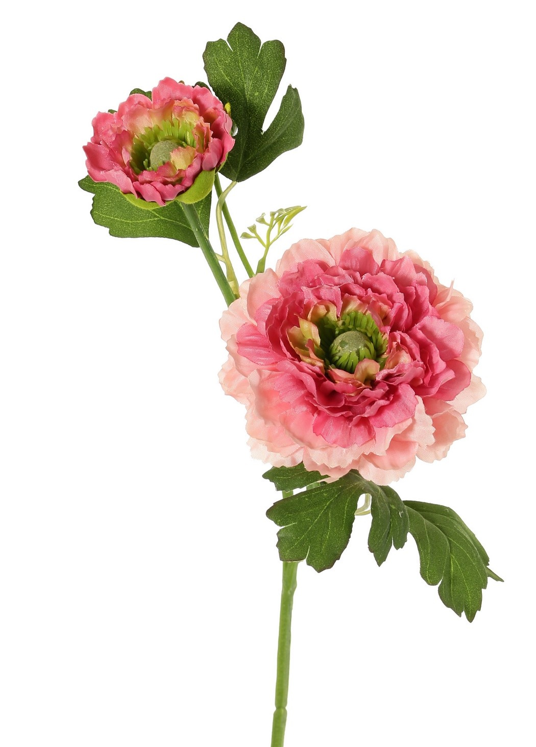 Ranunculus, doblemente ramificado con 2 flores de poliéster (Ø 8 y 5 cm) y 1 capullo, 7 hojas, 46 cm