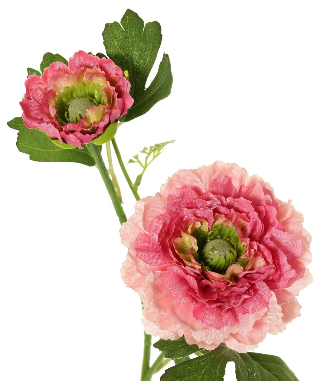 Ranunculus, doblemente ramificado con 2 flores de poliéster (Ø 8 y 5 cm) y 1 capullo, 7 hojas, 46 cm