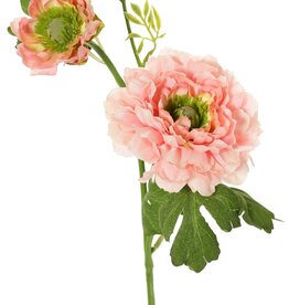 Ranonkel, 2x vertakt met 2 polyester bloemen (Ø 8 & 5 cm) & 1 knop, 7 blaadjes, 46 cm