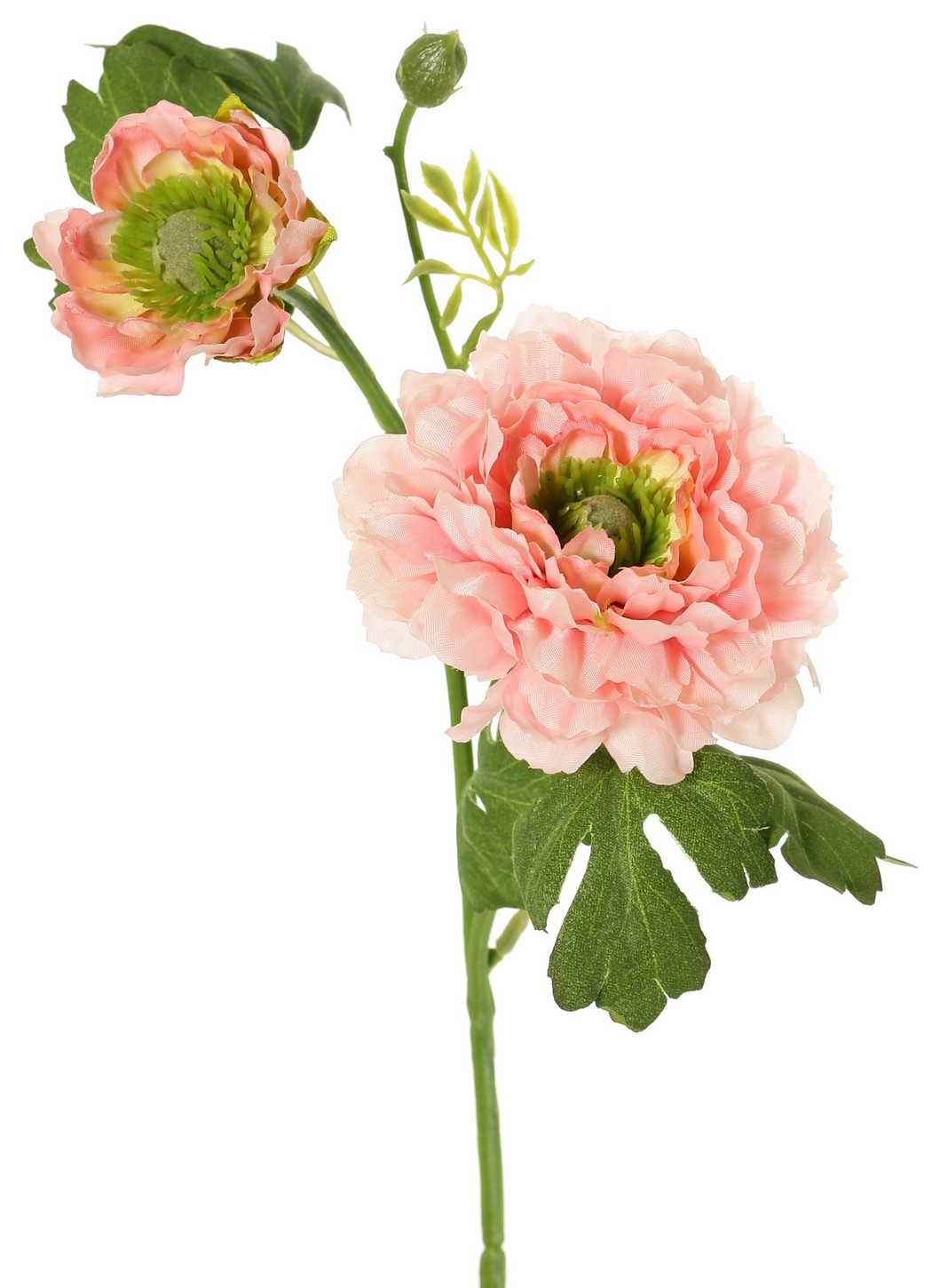 Ranunculus, doblemente ramificado con 2 flores de poliéster (Ø 8 y 5 cm) y 1 capullo, 7 hojas, 46 cm