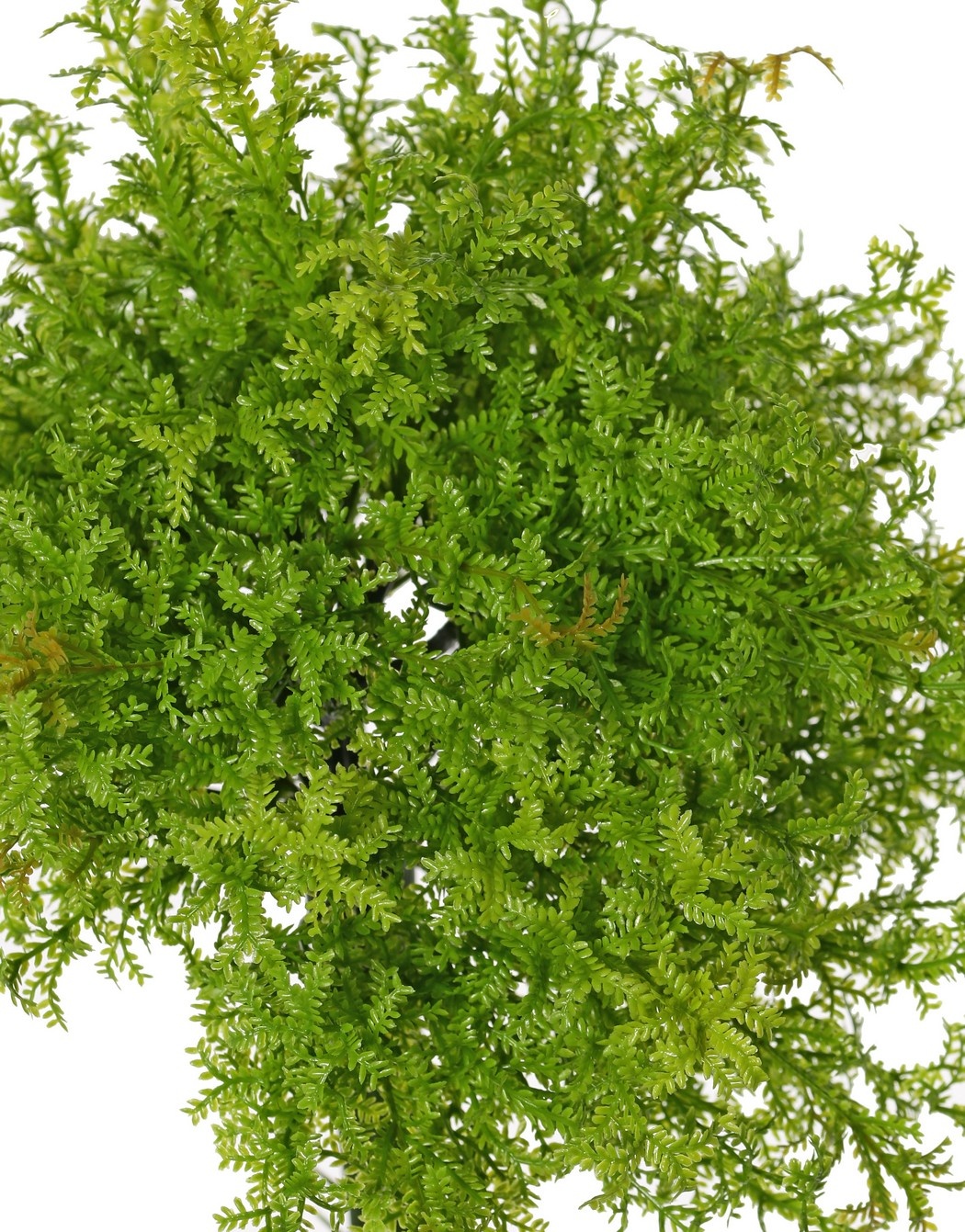 Moss fern, 16x branched, H. 23 cm, Ø 20 cm, made entirely of plastic