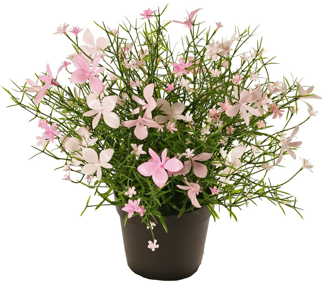 Planta de impatiens, con 184 flores, plástico macizo, a. 25 cm, Ø 25 cm, en maceta