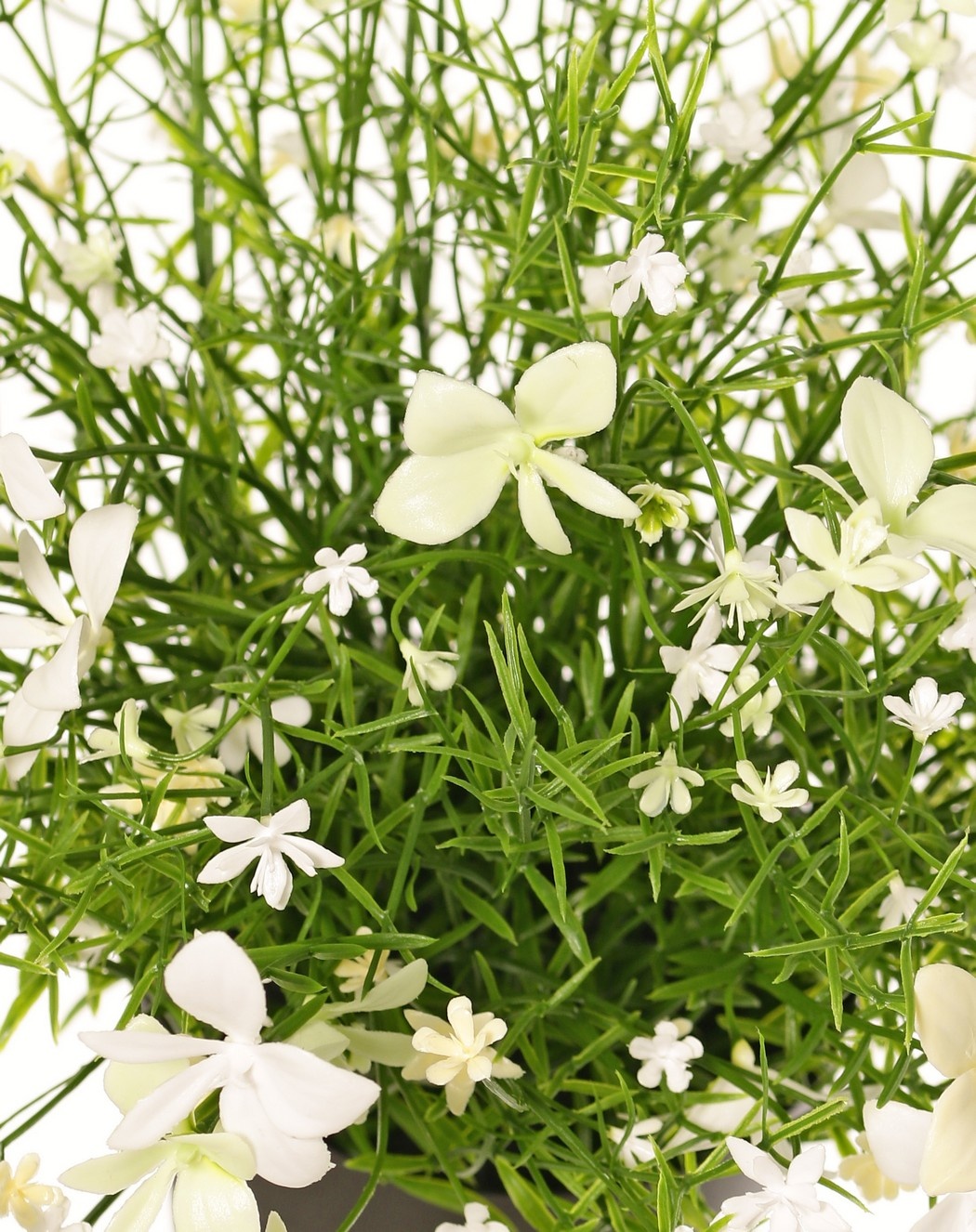 Impatiens (Fleissiges Lieschen) Pflanze, mit 184 Blüten, Vollkunststoff, H 25 cm, Ø 25 cm, im Topf