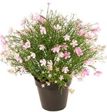 Impatiens with 269 mixed flowers, solid plastic, Ø 40 cm, H. 40 cm, in a pot