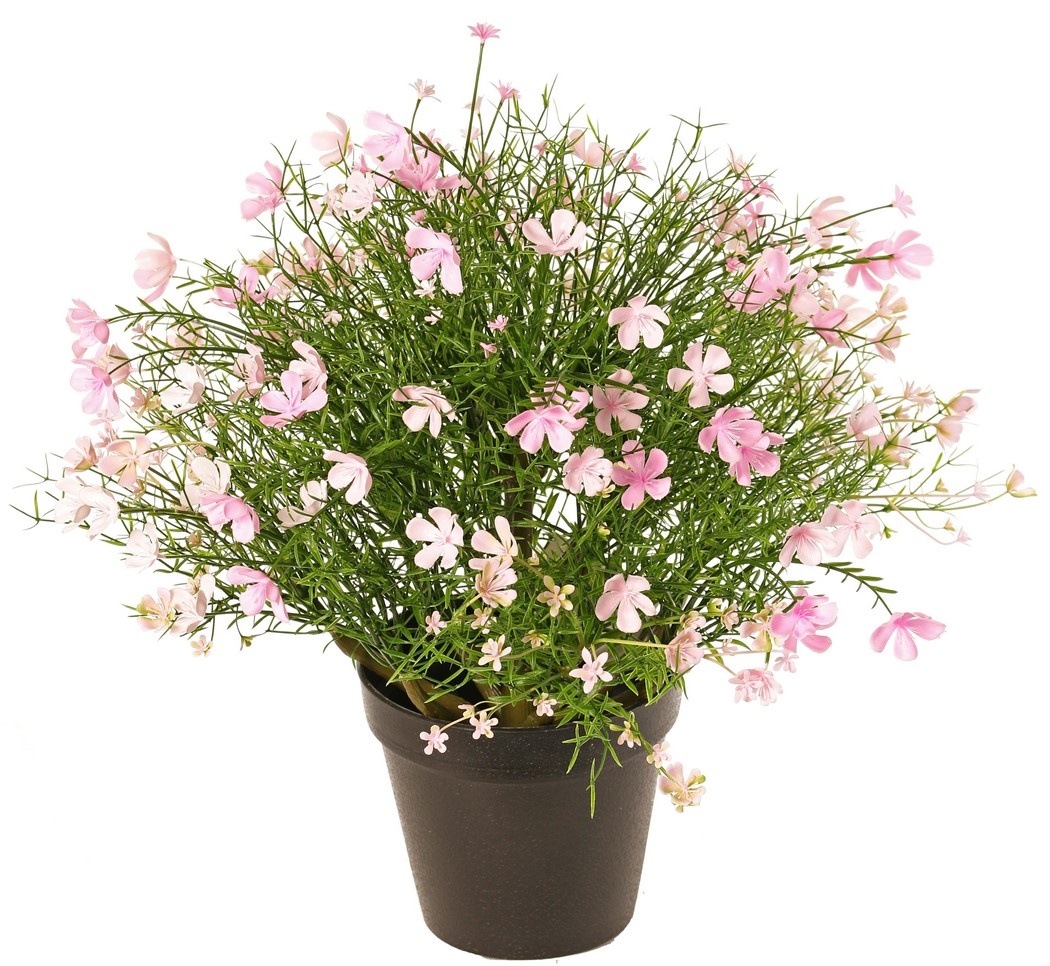 Impatiens (Vlijtig liesje), met 269 mixed bloemen, vol plastic, Ø 40 cm, H. 40 cm, in pot