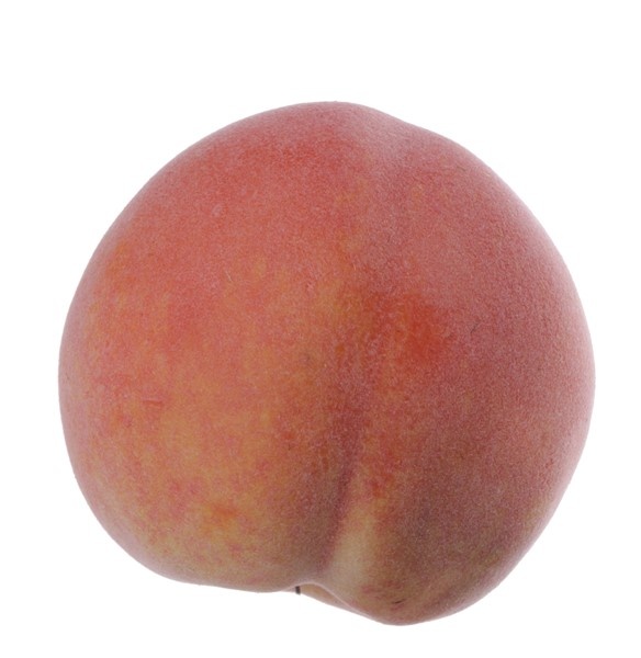 Peach "de luxe", with weight, 80mm