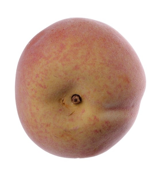 Peach "de luxe", with weight, 80mm