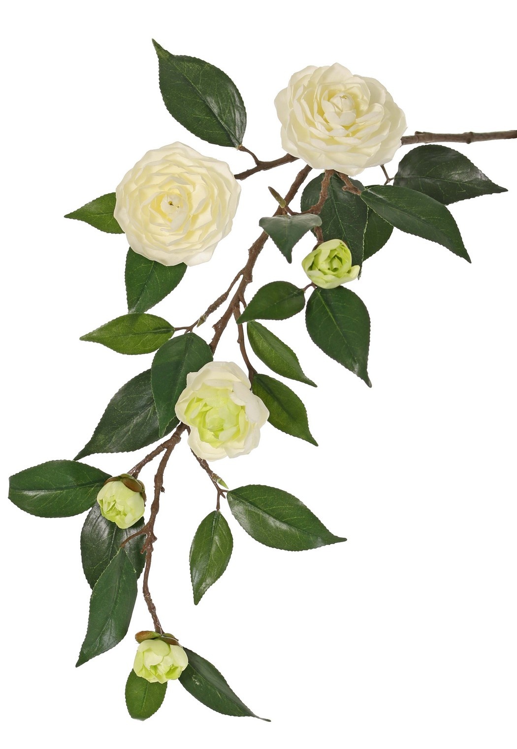 Camellia flower branch (Japanese rose) with 6 flowers (2 XL/ 1 M/ 3 S) and 21 leaves, 76 cm