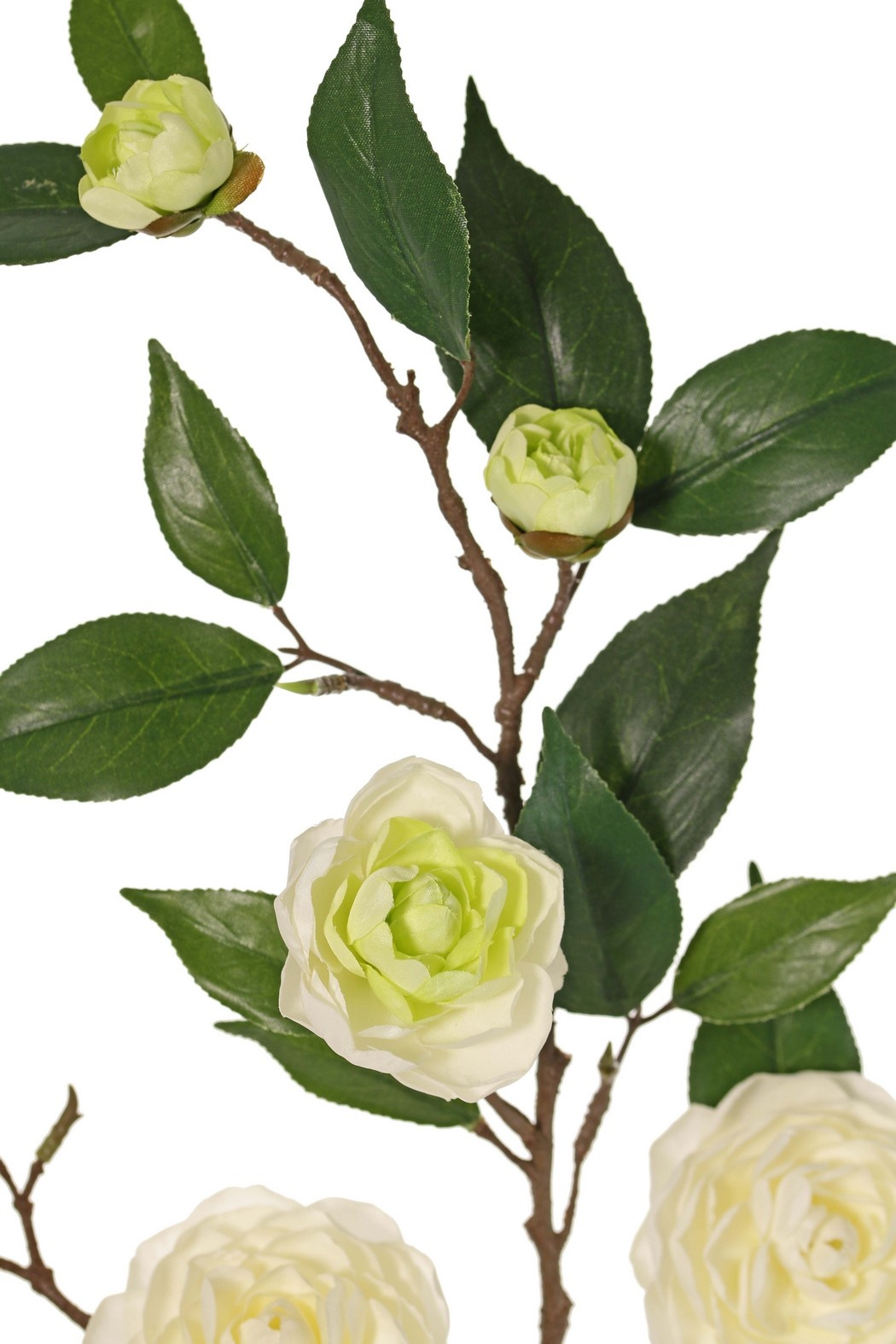 Camellia flower branch (Japanese rose) with 6 flowers (2 XL/ 1 M/ 3 S) and 21 leaves, 76 cm