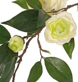 Camellia (Japanse roos) bloementak met 6 bloemen (2 XL/ 1 M/ 3 S) & 21 bladeren, 76 cm