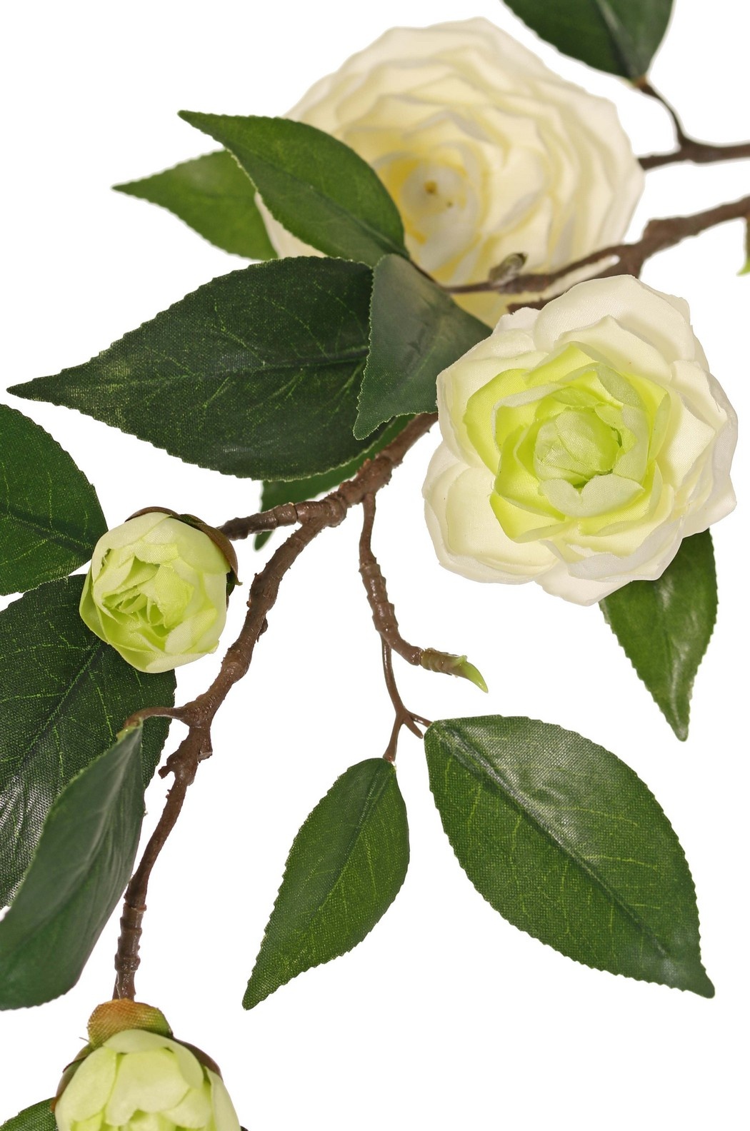 Camellia flower branch (Japanese rose) with 6 flowers (2 XL/ 1 M/ 3 S) and 21 leaves, 76 cm