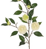 Camellia (Japanse roos) bloementak met 6 bloemen (2 XL/ 1 M/ 3 S) & 21 bladeren, 76 cm