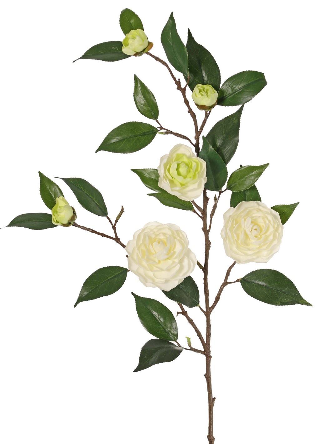 Camellia flower branch (Japanese rose) with 6 flowers (2 XL/ 1 M/ 3 S) and 21 leaves, 76 cm