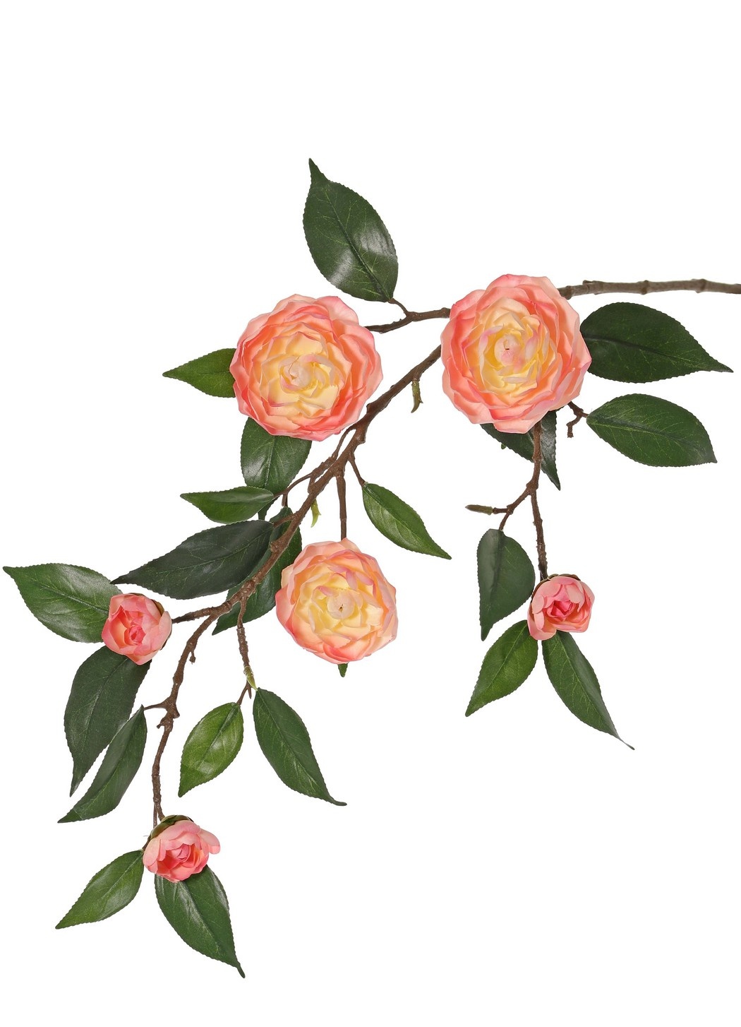 Camellia flower branch (Japanese rose) with 6 flowers (2 XL/ 1 M/ 3 S) and 21 leaves, 76 cm