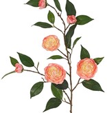 Camellia flower branch (Japanese rose) with 6 flowers (2 XL/ 1 M/ 3 S) and 21 leaves, 76 cm