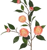 Rama de camelia (rosa japonesa) con 6 flores (2 XL/ 1 M/ 3 S) y 21 hojas, 76 cm