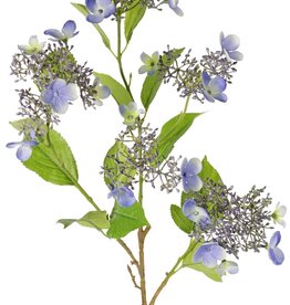 Hortensie (Hydrangea) 'Garden Joy' 3-fach verzweigt, mit 5 Knospen- und Blütenbüscheln, 13 Blätter, 78 cm