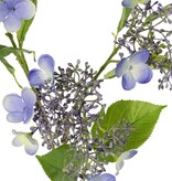 Hydrangea (Hydrangea) 'Garden Joy' 3-branched, with 5 bud and flower clusters, 13 leaves, 78 cm