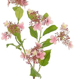 Hortensie (Hydrangea) 'Garden Joy' 3-fach verzweigt, mit 5 Knospen- und Blütenbüscheln, 13 Blätter, 78 cm