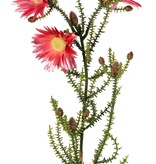 Kapgrün mit 3 Polyesterblüten (Ø 6,5 cm) und 10 Kunststoffknospen, 60 cm