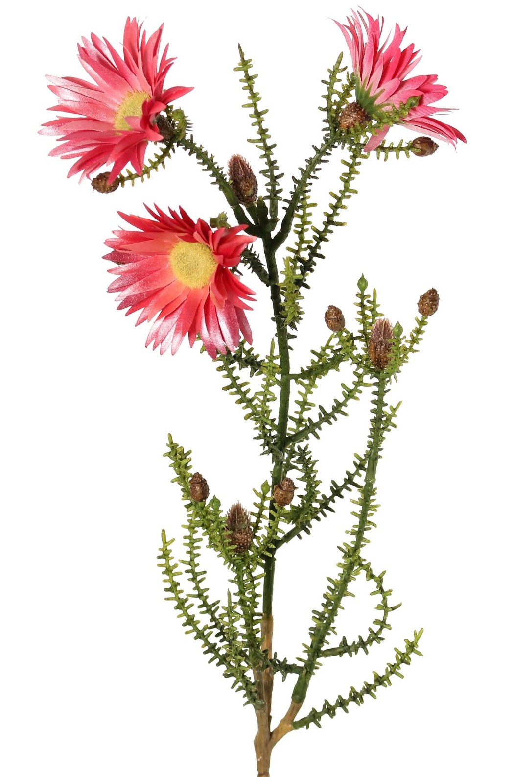 Kaaps groen met 3 polyester bloemen (Ø 6,5 cm) en 10 plastic knoppen, 60 cm