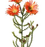 Kaaps groen met 3 polyester bloemen (Ø 6,5 cm) en 10 plastic knoppen, 60 cm