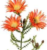 Kaaps groen met 3 polyester bloemen (Ø 6,5 cm) en 10 plastic knoppen, 60 cm