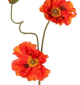 Mohnblume 'Meadow' mit 2 großen Blüten (Ø 13/11 cm) & 1 großer Knospe 7 cm, beflockter Stiel, 90 cm