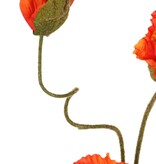 Poppy 'Meadow' with 2 large flowers (Ø 13/11 cm) & 1 large bud 7 cm, flocked stem, 90 cm