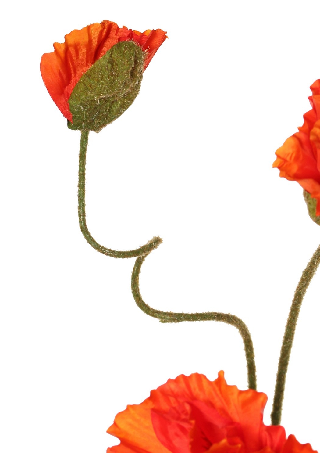 Papaver 'Meadow' met 2 grote bloemen (Ø 13/ 11 cm) & 1 grote knop 7 cm, geflockte steel, 90 cm