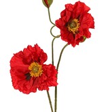 Amapola 'Meadow' con 2 flores grandes (Ø 13/11 cm) y 1 capullo grande de 7 cm, tallo flocado, 90 cm