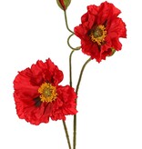Papaver 'Meadow' met 2 grote bloemen (Ø 13/ 11 cm) & 1 grote knop 7 cm, geflockte steel, 90 cm