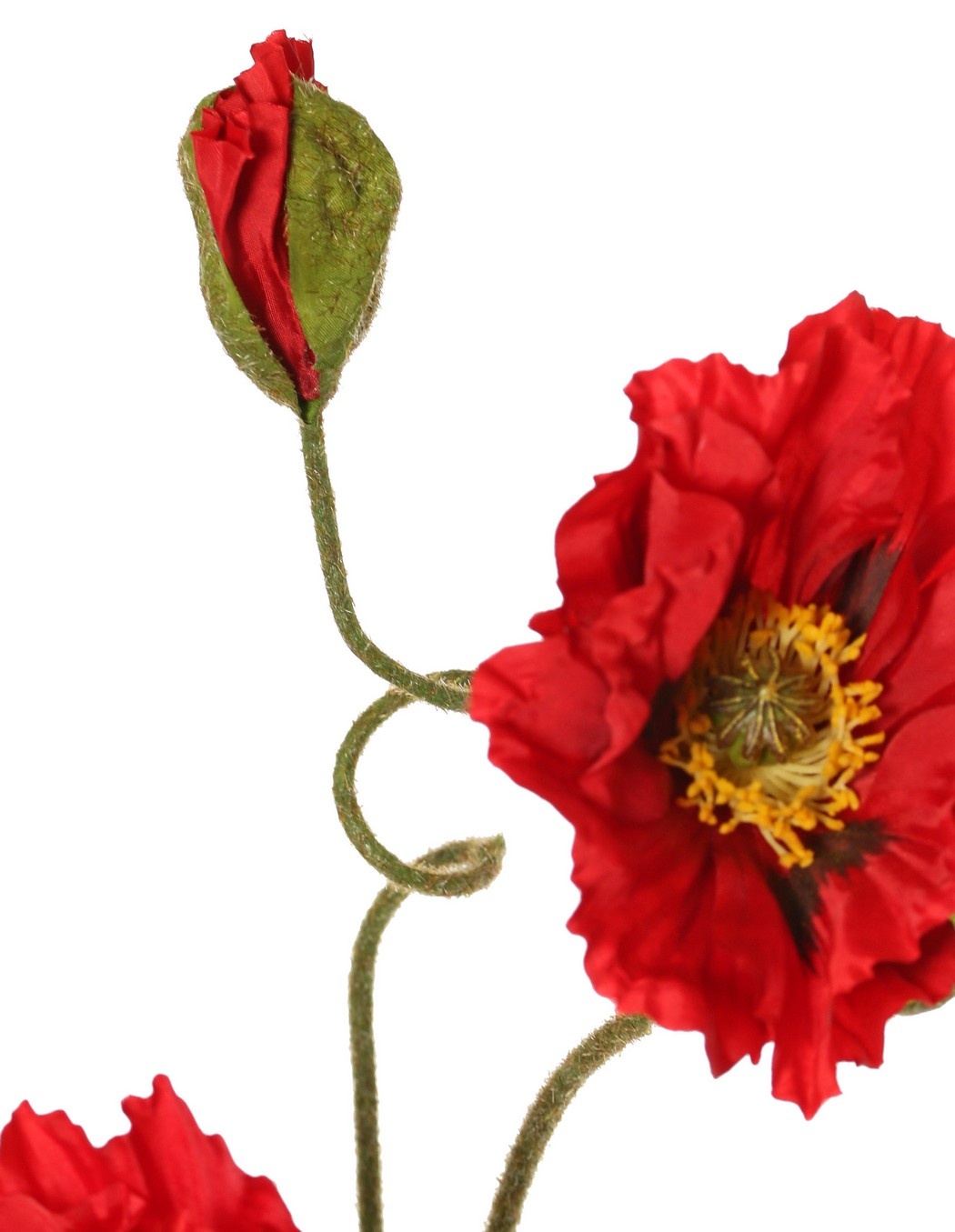 Papaver 'Meadow' met 2 grote bloemen (Ø 13/ 11 cm) & 1 grote knop 7 cm, geflockte steel, 90 cm