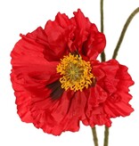 Papaver 'Meadow' met 2 grote bloemen (Ø 13/ 11 cm) & 1 grote knop 7 cm, geflockte steel, 90 cm