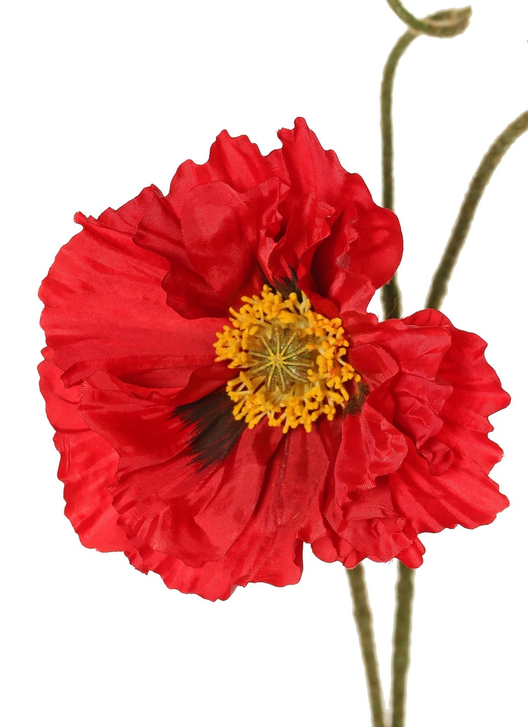 Papaver 'Meadow' met 2 grote bloemen (Ø 13/ 11 cm) & 1 grote knop 7 cm, geflockte steel, 90 cm