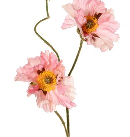 Mohnblume 'Meadow' mit 2 großen Blüten (Ø 13/11 cm) & 1 großer Knospe 7 cm, beflockter tiel, 90 cm