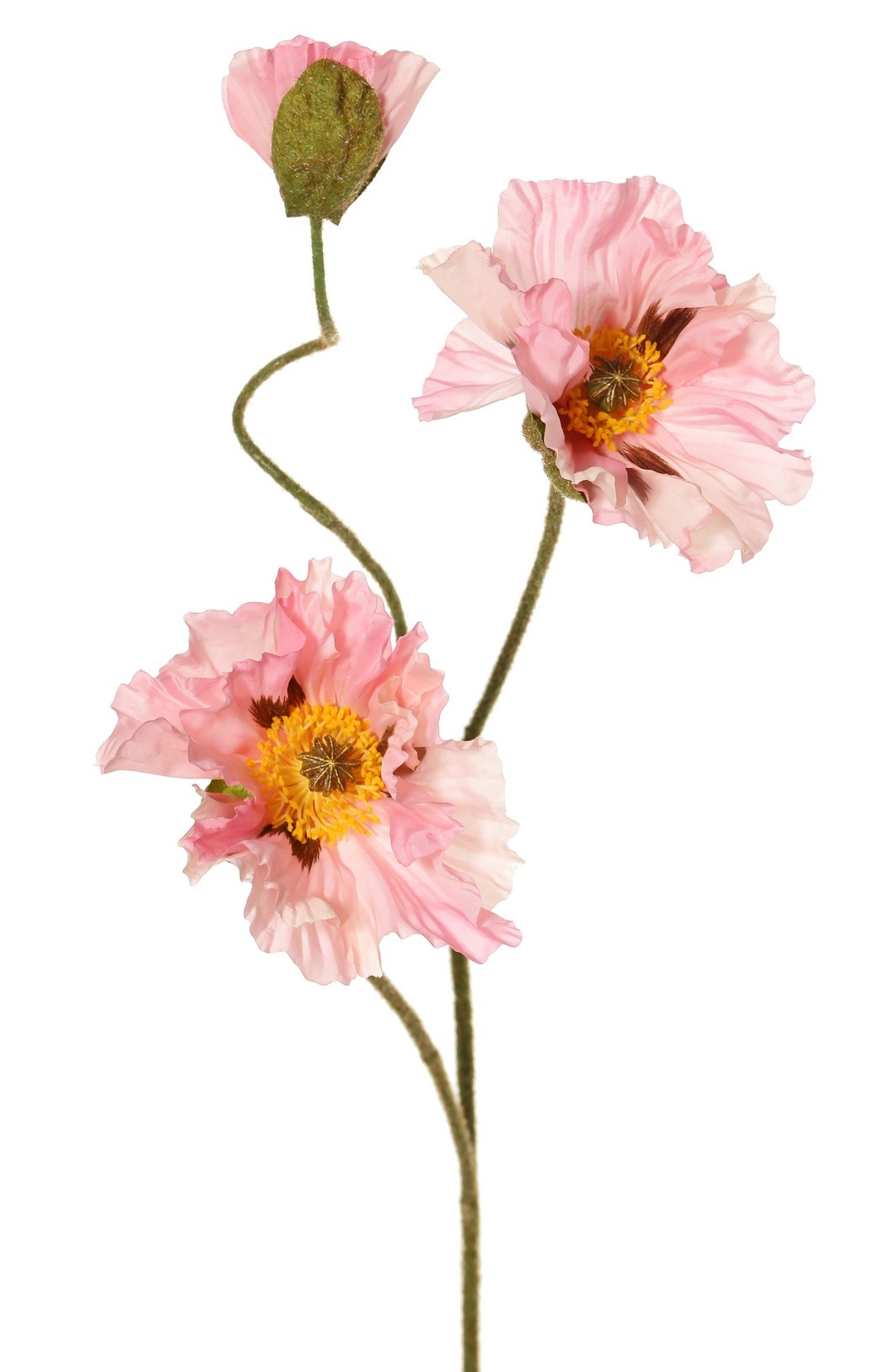 Papaver 'Meadow' met 2 grote bloemen (Ø 13/ 11 cm) & 1 grote knop 7 cm, geflockte steel, 90 cm