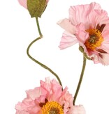 Mohnblume 'Meadow' mit 2 großen Blüten (Ø 13/11 cm) & 1 großer Knospe 7 cm, beflockter Stiel, 90 cm