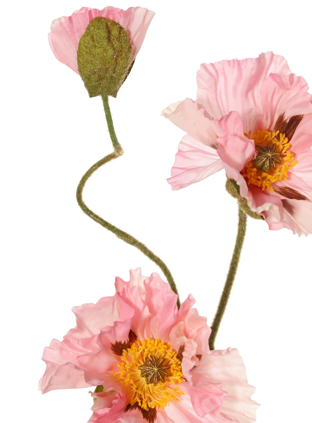 Papaver 'Meadow' met 2 grote bloemen (Ø 13/ 11 cm) & 1 grote knop 7 cm, geflockte steel, 90 cm