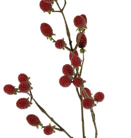 Brombeerzweig (Rubus) 'Fruity Art' mit 23 Brombeeren (11 L/ 12 M), 89 cm