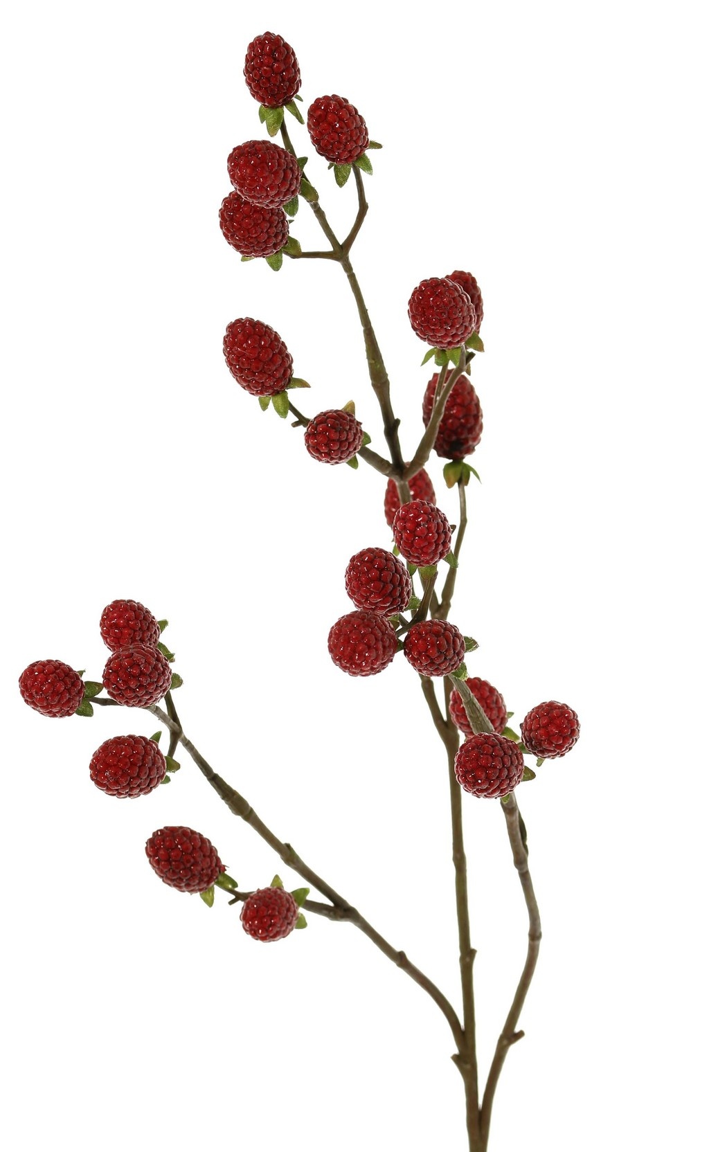 Blackberry branch (Rubus) 'Fruity Art' with 23 blackberries (11 L/ 12 M), 89 cm