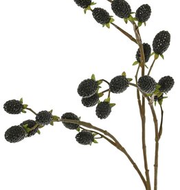 Blackberry branch (Rubus) 'Fruity Art' with 23 blackberries (11 L/ 12 M), 89 cm