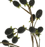 Blackberry branch (Rubus) 'Fruity Art' with 23 blackberries (11 L/ 12 M), 89 cm