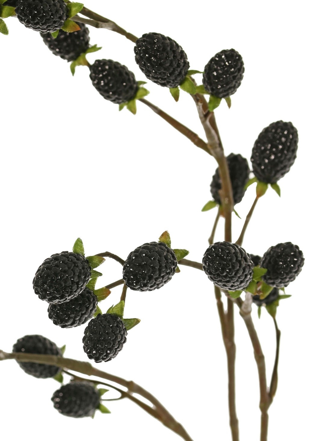 Blackberry branch (Rubus) 'Fruity Art' with 23 blackberries (11 L/ 12 M), 89 cm