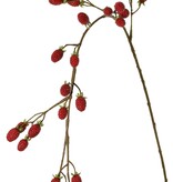 Blackberry branch (Rubus) 'Fruity Art' large, with 26 blackberries (17 L/ 9 M), 102 cm